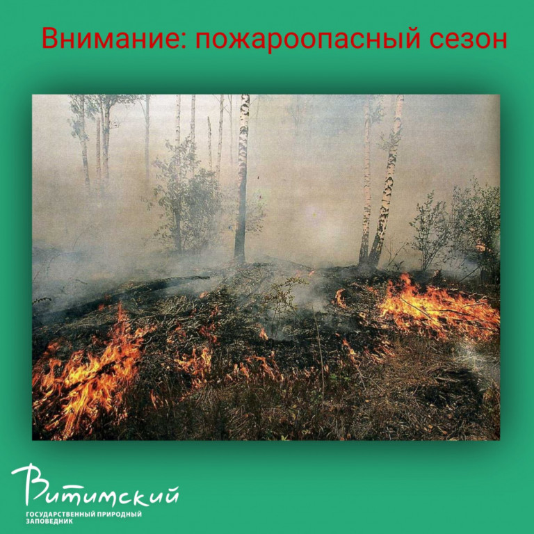 пожароопасный сезон