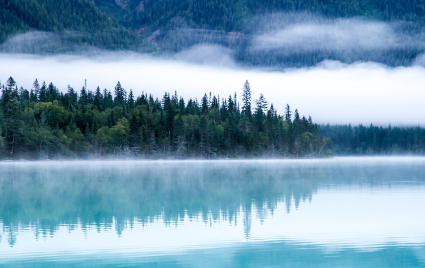 тестовый текст 2