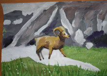 Снежный баран Рис. Хламовой Дарины