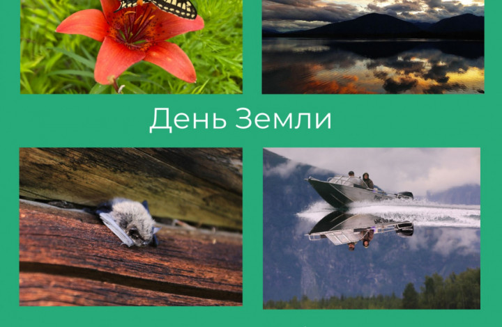 работы победителей фотоконкурса