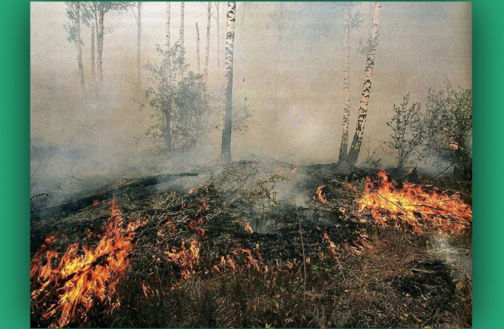 пожароопасный сезон