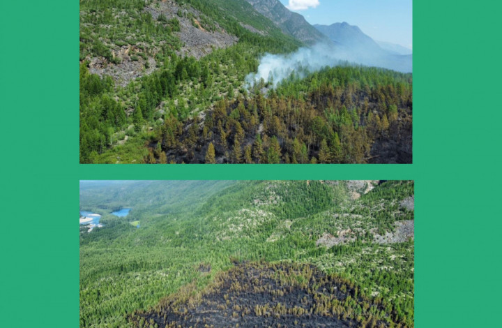Хроника неспокойных выходных