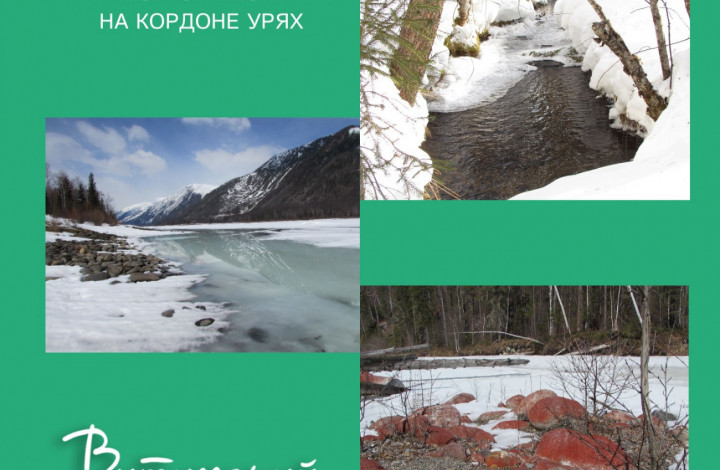 Время «пестрой весны» на кордоне Урях 