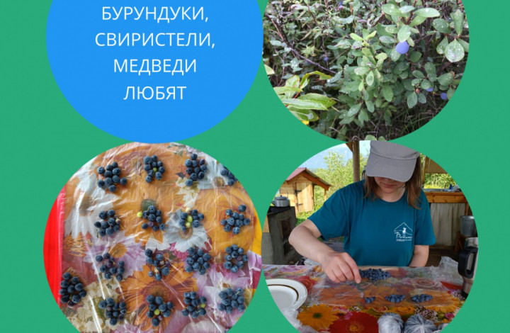 Урожайный год